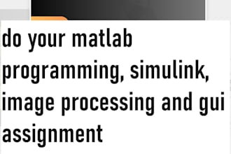 do your matlab programming, simulink, image processing and gui assignment