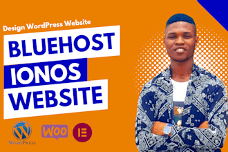 build wordpress website on hostinger, ionos, bluehost and godaddy
