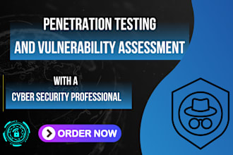 perform penetration testing on your web application