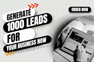 do b2b lead generation, build niche targeted email list and online store