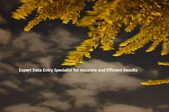 expert data entry specialist for accurate and efficient results