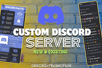 setup custom discord nft server, gaming community moderator, bot mass dm manager