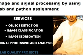 do image and signal processing by using matlab and python assignment