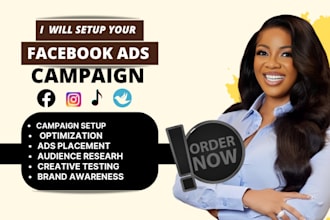 facebook instagram meta ads campaign manager, fb advertising, marketing expert