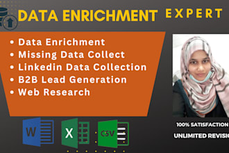 do data entry and data enrichment