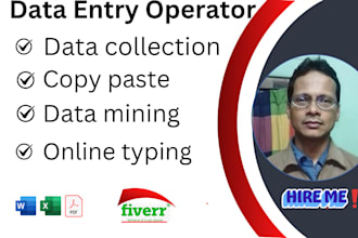 do data entry and copy paste job