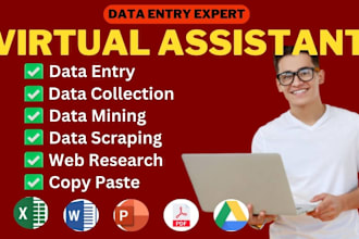 be your virtual assistant for excel data entry, web research, data collection