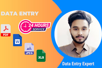 convert pdf to word, word to pdf or data entry in 24 hours