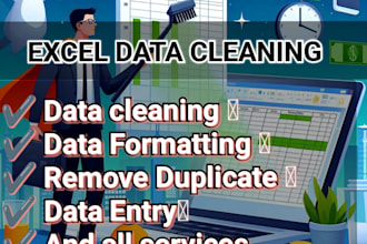 precision excel services efficient data entry and management