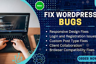 fix wordpress website bugs and improve performance