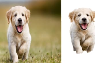 remove background perfectly for photos