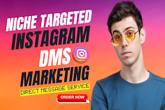 send niche targeted instagram dms, instagram direct message with daily outreach