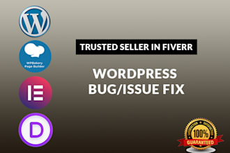 fix issue or bug with wordpress website in 24h