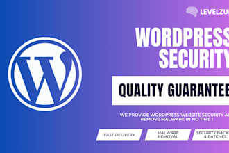 perform a wordpress website security assessment and protection