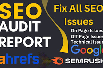 website SEO audit and fix all errors for any website