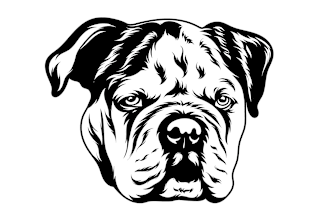 your pet photo becomes a work of line art