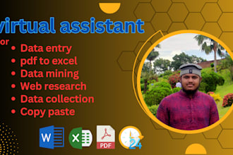 expert in data entry and analysis services