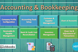 do quickbooks and xero bookkeeping professionally