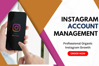 grow instagram business account and handle customer queries