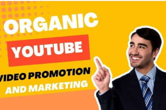 do ideal USA youtube channel promotion for video views and organic subscribers