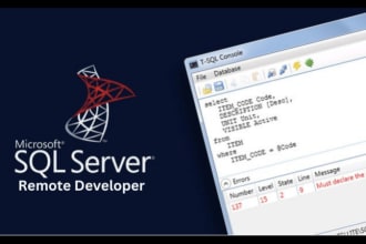be your remote sql server developer