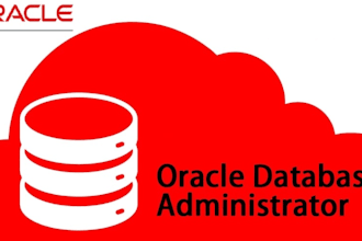 provide expert oracle dba services ensuring oracle databases operate efficiently