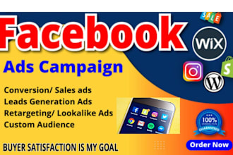 your facebook meta ads campaign manager, fb advertising