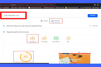 optimize wordpress speed and bug fixing