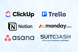 be your expert on suitedash, notion, asana, monday, trello