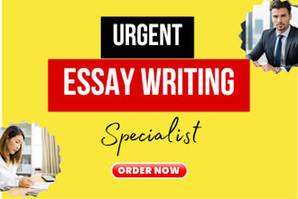 write urgent essay, summary, report, research, case study, apa, mla, chicago