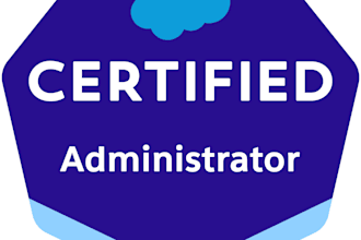 do expert level salesforce administration and development