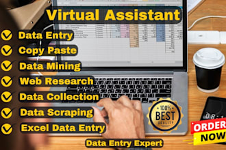 be your web scraping for data entry, web research, data mining, copy paste