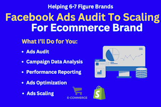 do deep facebook meta ads audit, optimization and scaling for ecommerce