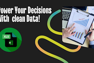 do ms excel cleaning , formatting and data entry