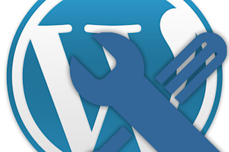 customize wordpress or build new