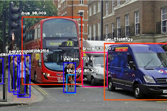 object detection and image classification in python