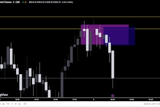 teach you price action and smart money concept by going into the depth of market