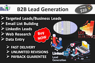 be your virtual assistant for data entry and file conversion
