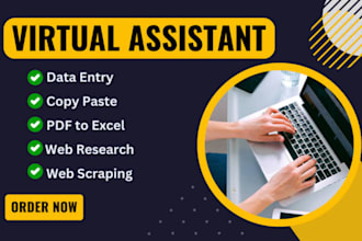 do urgent fastest data entry in one day, internet research