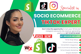 setup tiktok shop, instagram shop, facebook shop, shopify dropshipping store