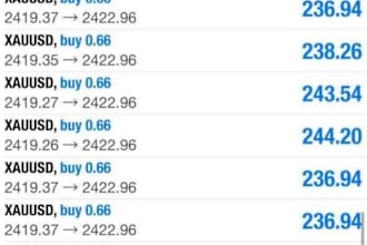 setup forex trading bot, forex trading robot, hft trading bot, trading ea, forex