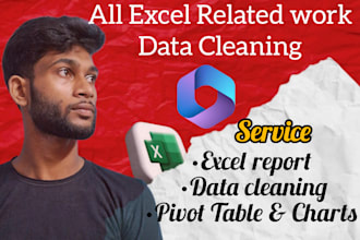 do excel related work , excel report, pivot table , charts
