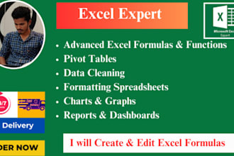 create and edit excel formulas, pivot tables and conditional formatting