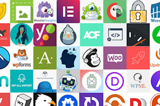 install the paid plugin with lifetime updates