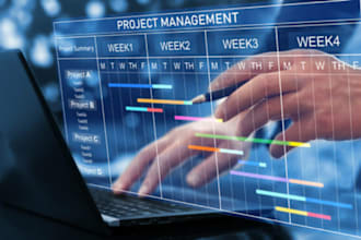 do project management, gantt chart, and project report