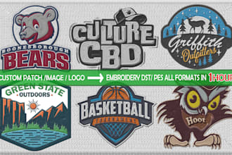 be your embroidery digitizer, design into dst pes  file digitization in 1 hour