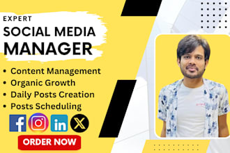 be pro social media marketing manager and posts creator for your brand