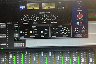 professionally mix and master your next hit