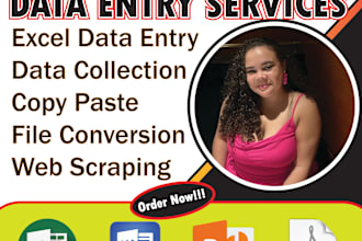 do excel data entry expert, web research