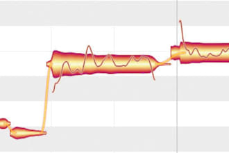 do perfect vocal tuning for you